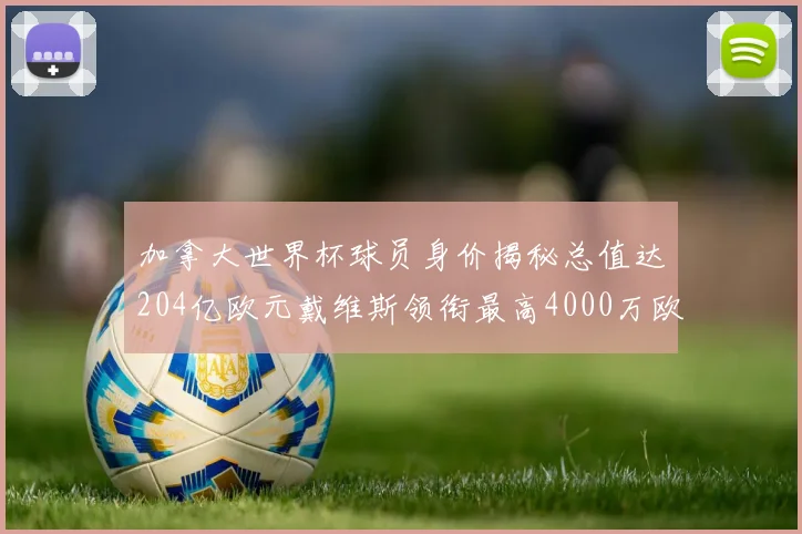 加拿大世界杯球员身价揭秘总值达204亿欧元戴维斯领衔最高4000万欧